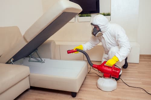 bed bug treatment toronto