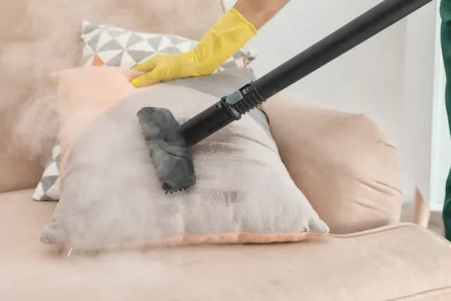 simple treatments for bed bug bites